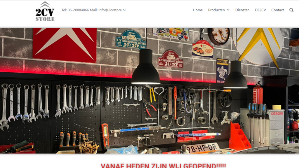 Website-2CVstore